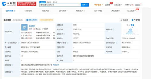 專業商務信息咨詢 企業決策的智慧引擎